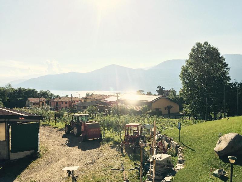 Agriturismo La Betulla image