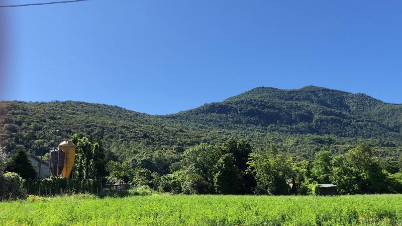 Agriturismo La Betulla image