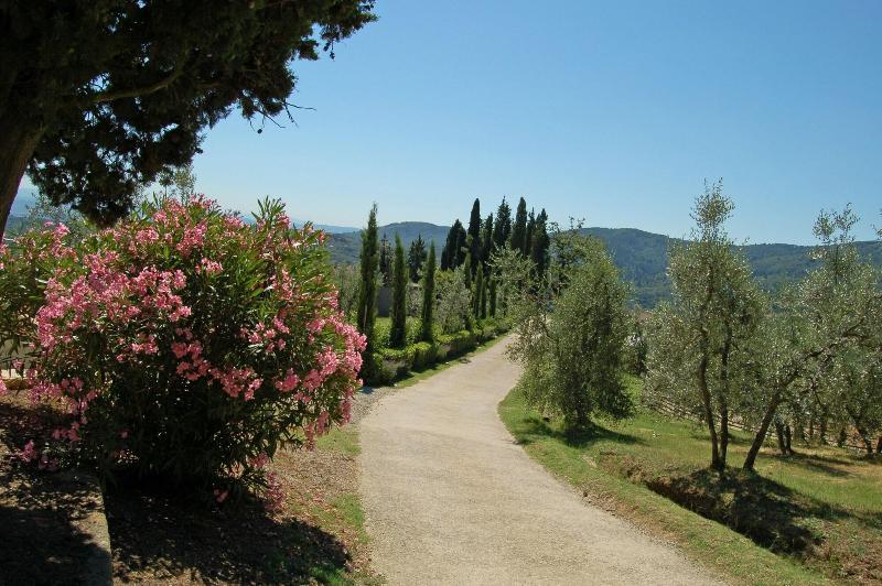 Agriturismo La Forra image