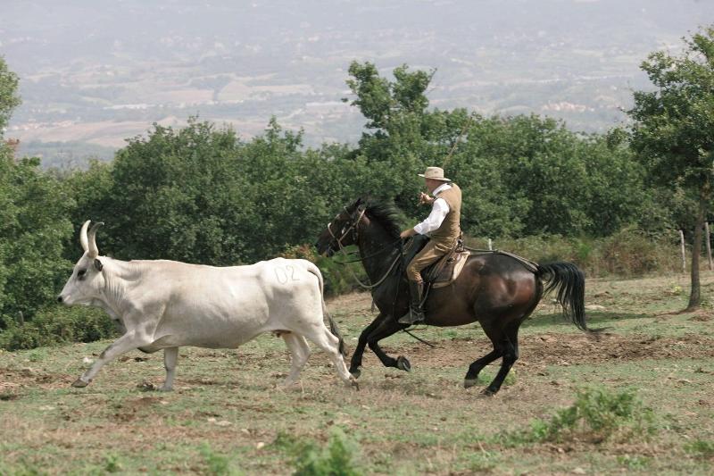 Agriturismo La Forra image