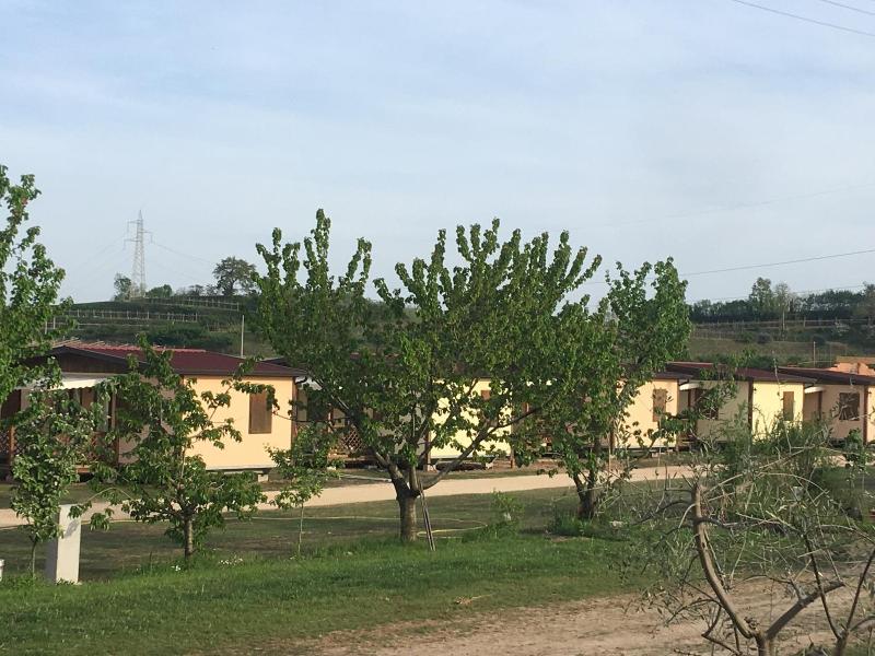 Agriturismo La Palazzina image