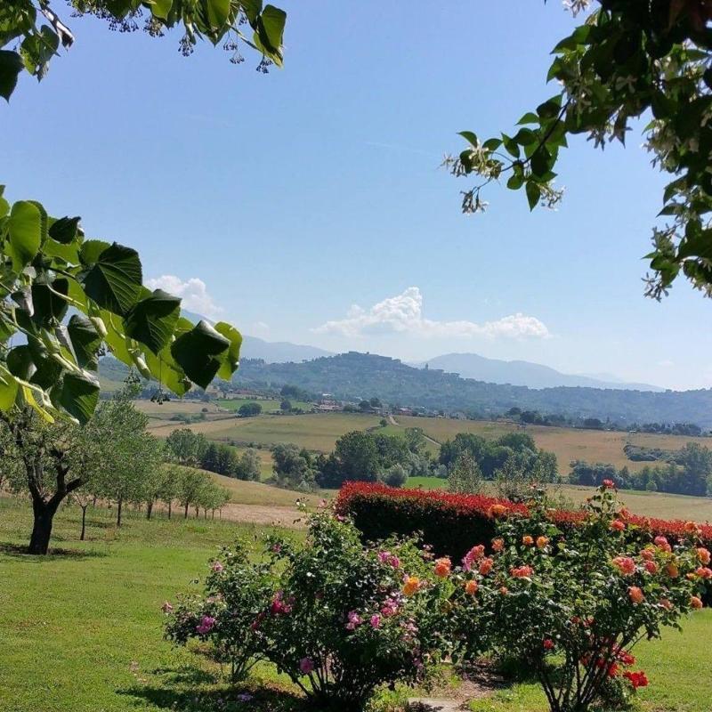 Agriturismo La Polledrara image