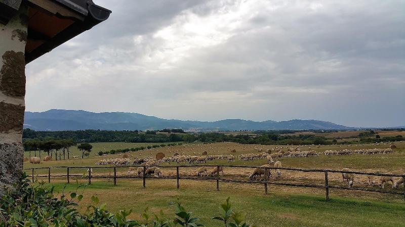 Agriturismo La Polledrara image