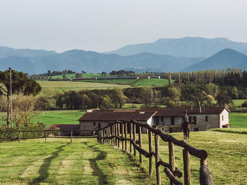 Agriturismo La Polledrara image