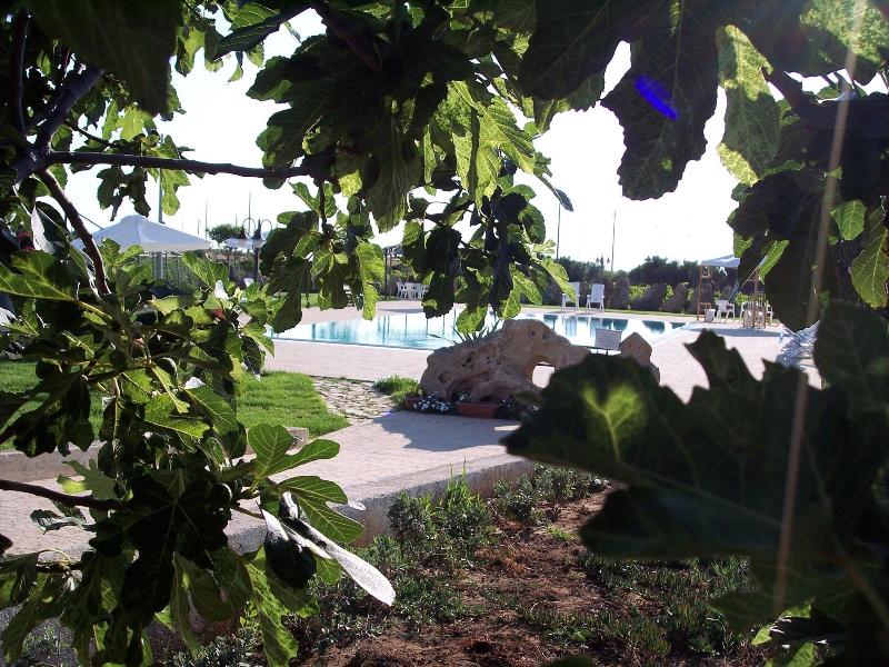 Agriturismo Le Arcate image
