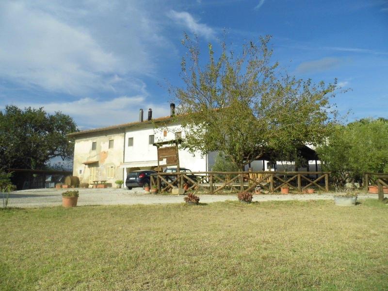 Agriturismo Le Baccane image