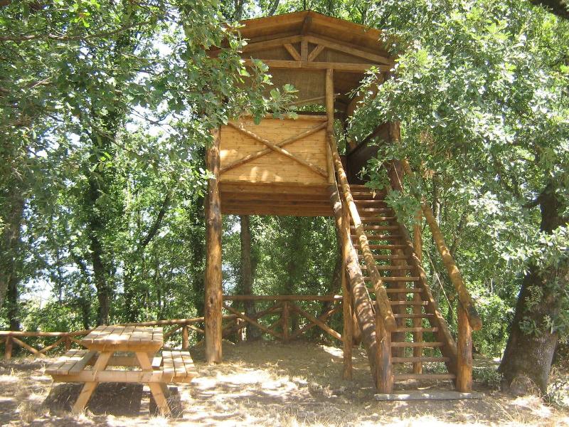 Agriturismo Le Baccane image