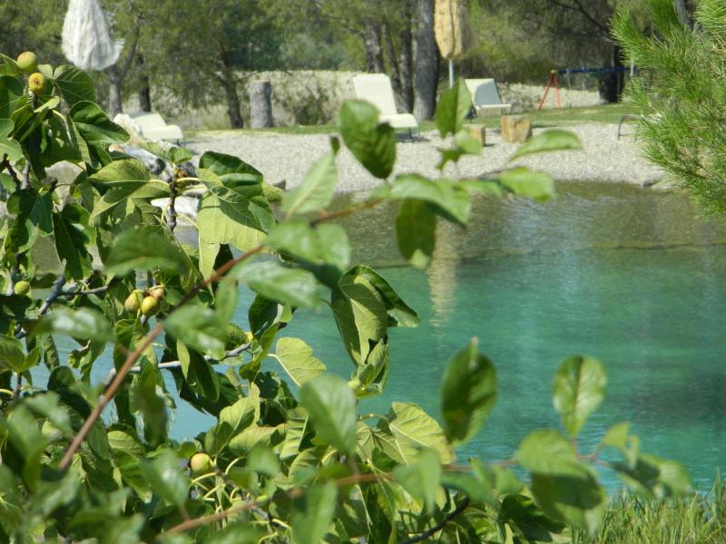 Agriturismo Palazzo Conti A — general view