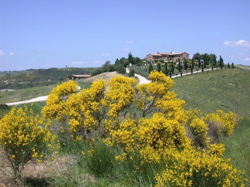 Agriturismo Palazzo Conti A image