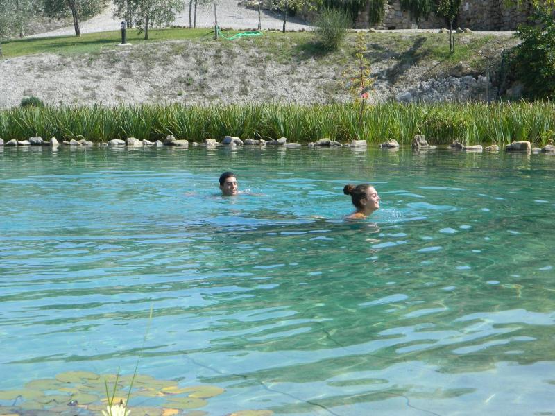 Agriturismo Palazzo Conti A image