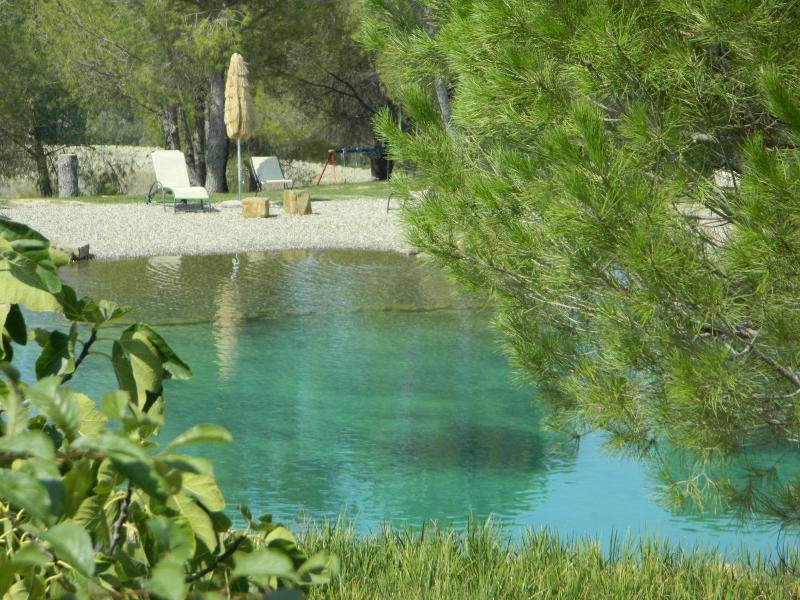 Agriturismo Palazzo Conti A image