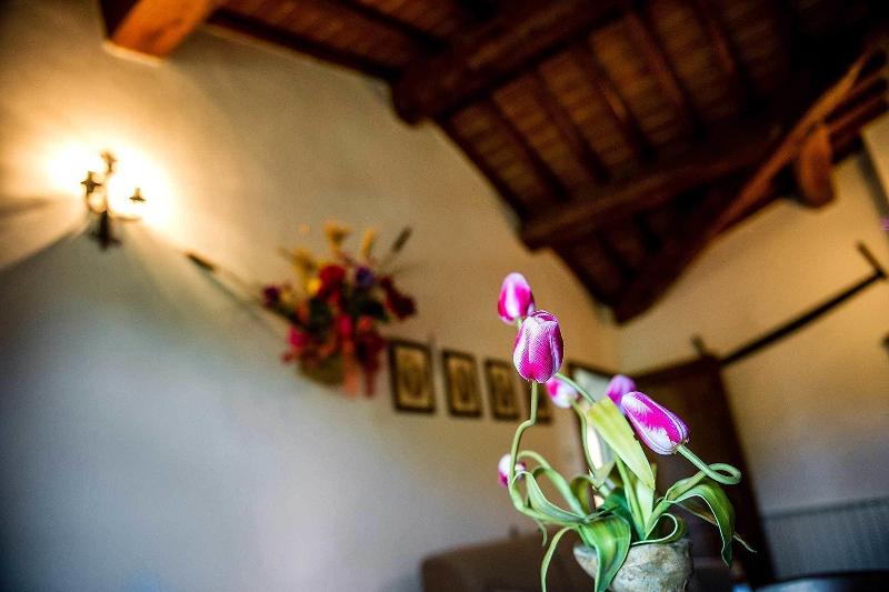 Agriturismo Palazzo Conti A image