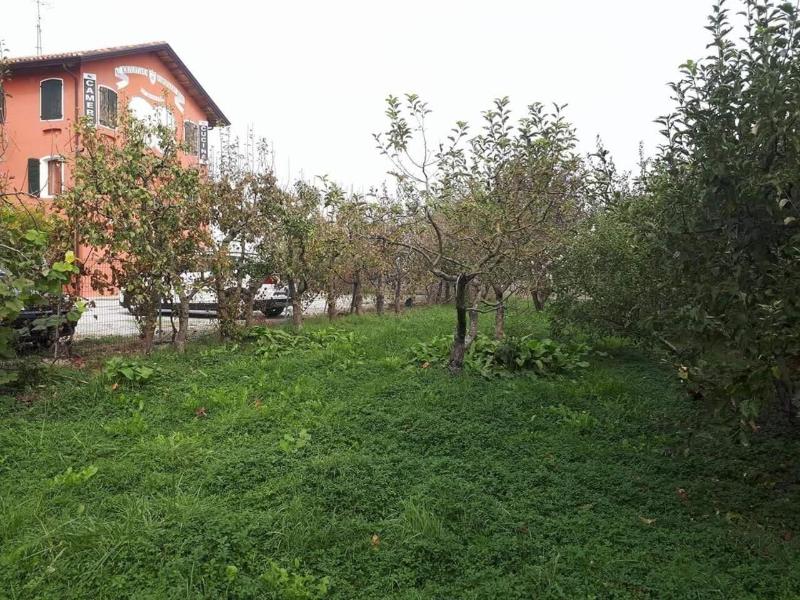 Agriturismo Quadrifoglio Relax image