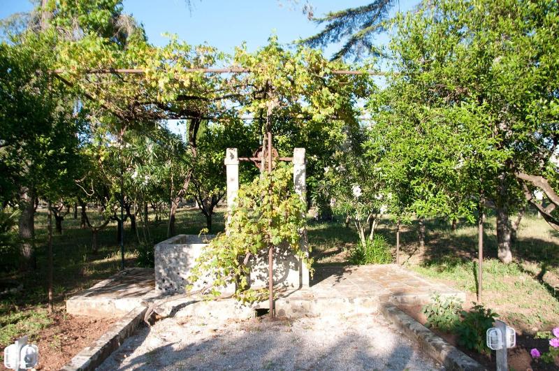 Agriturismo Villa Coluccia image