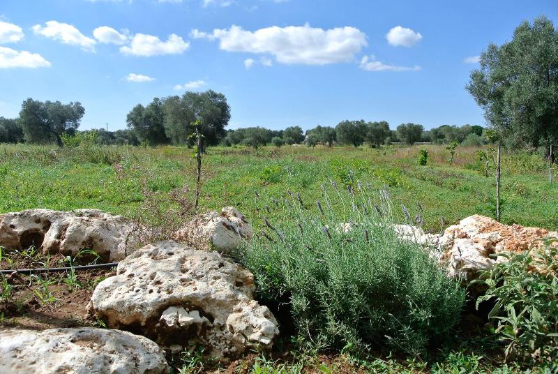 Agriturismo Villa Coluccia image