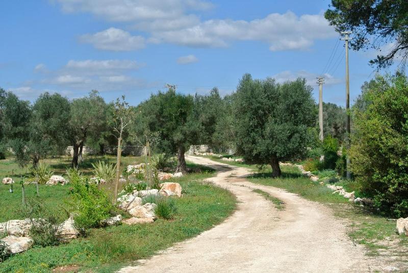 Agriturismo Villa Coluccia image