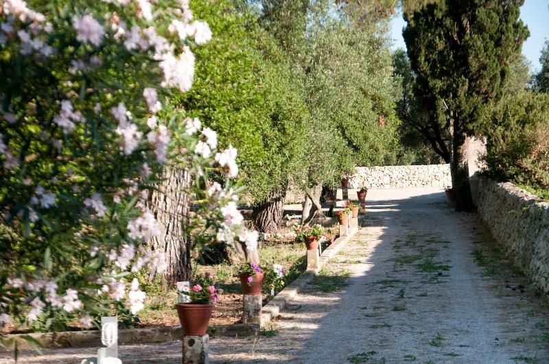 Agriturismo Villa Coluccia image