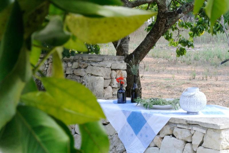 Agriturismo Villa Coluccia image
