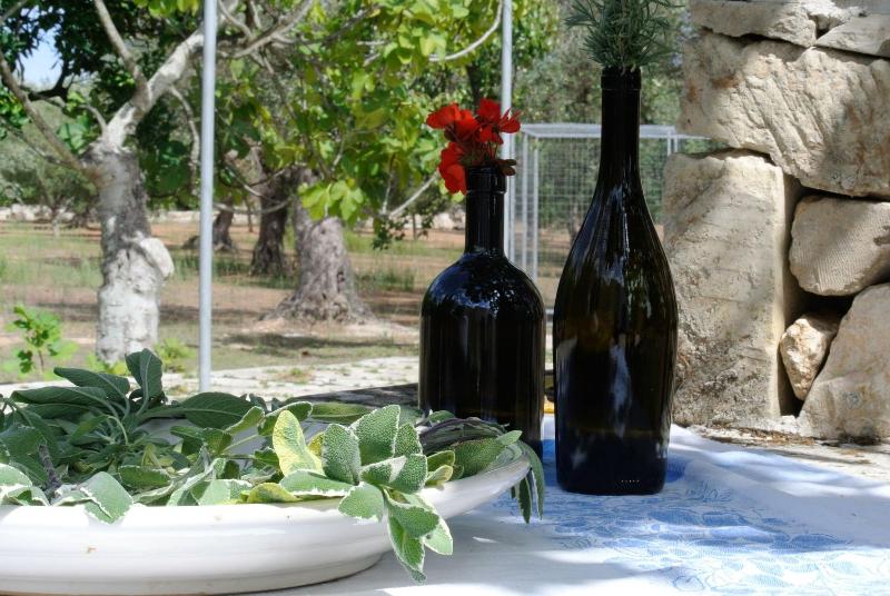 Agriturismo Villa Coluccia image
