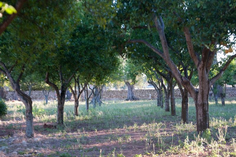 Agriturismo Villa Coluccia image