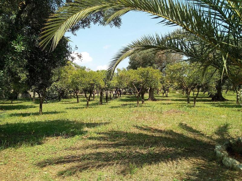 Agriturismo Villa Coluccia image