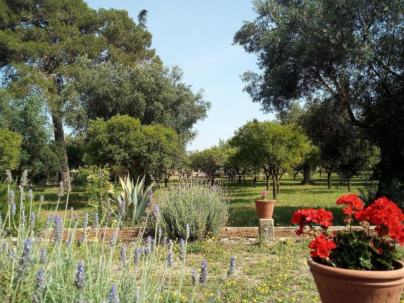 Agriturismo Villa Coluccia image