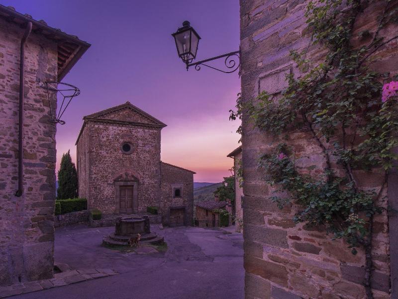 Castello di Volpaia image