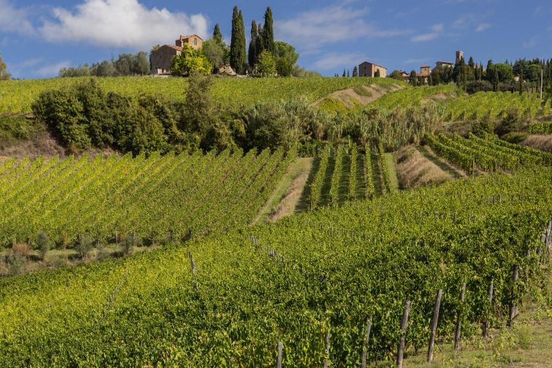 Castello di Volpaia image