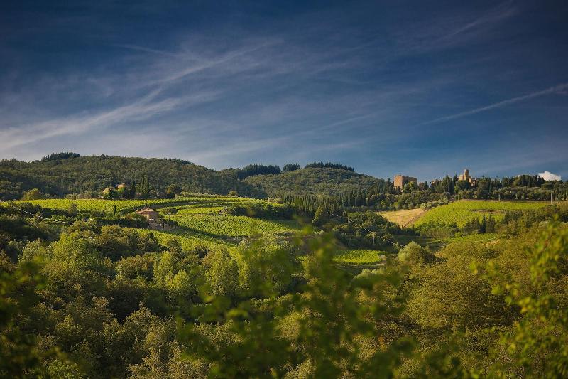 Castello di Volpaia image