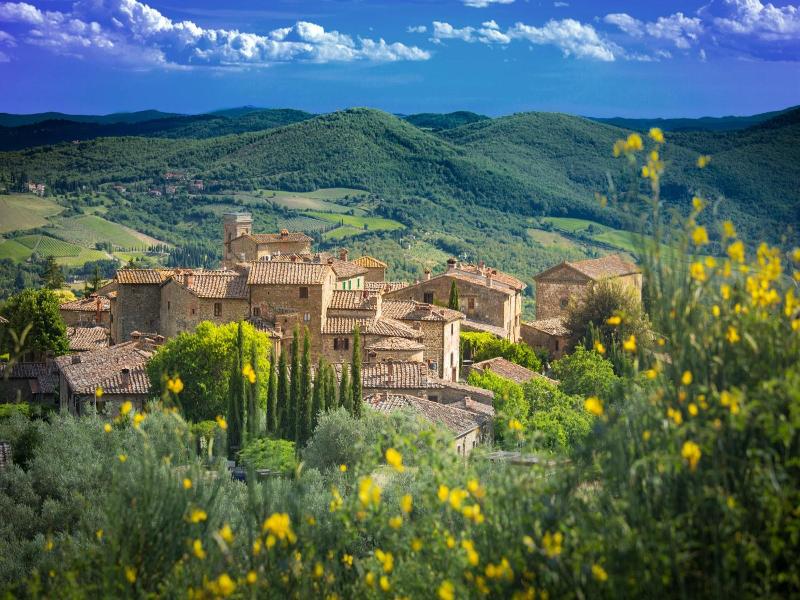 Castello di Volpaia image