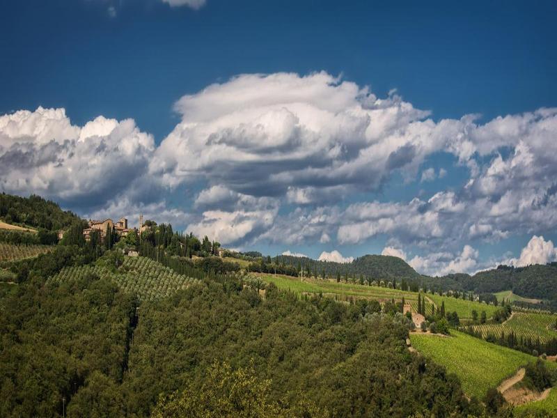 Castello di Volpaia image