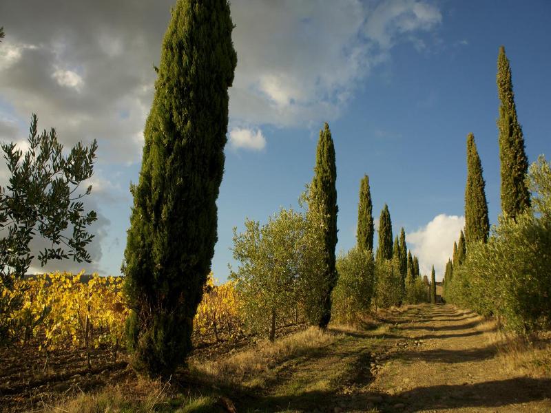 Castello di Volpaia image
