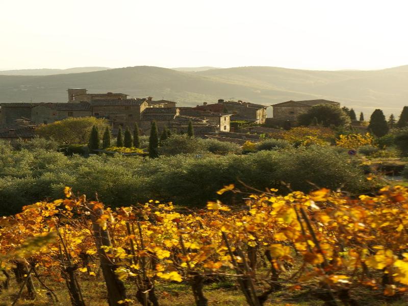Castello di Volpaia image