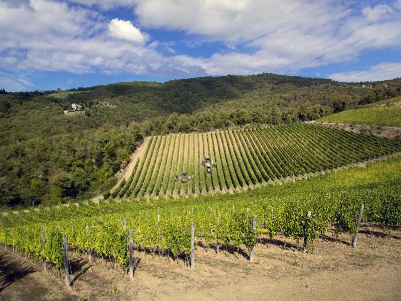 Castello di Volpaia image