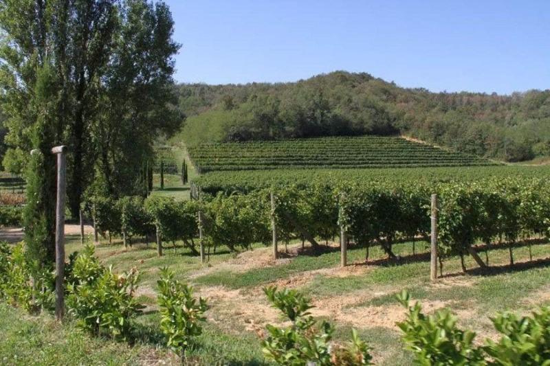 Il Roncal Wine Resort image