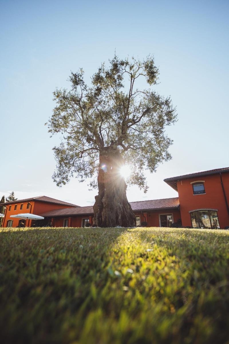 Il Roncal Wine Resort image