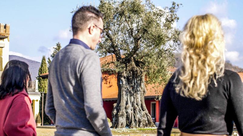 Il Roncal Wine Resort image