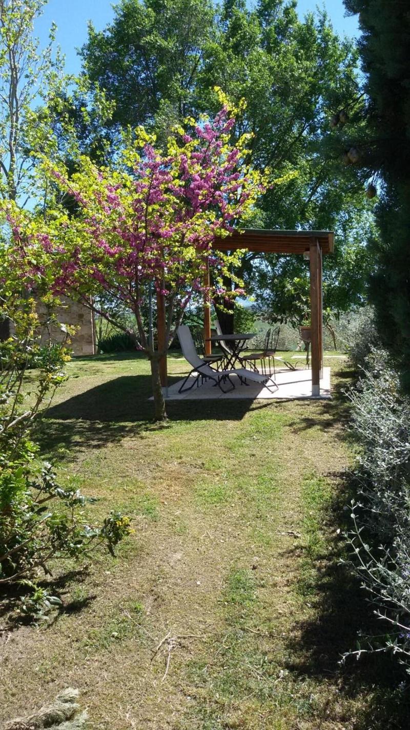 La Canonica — photo 4