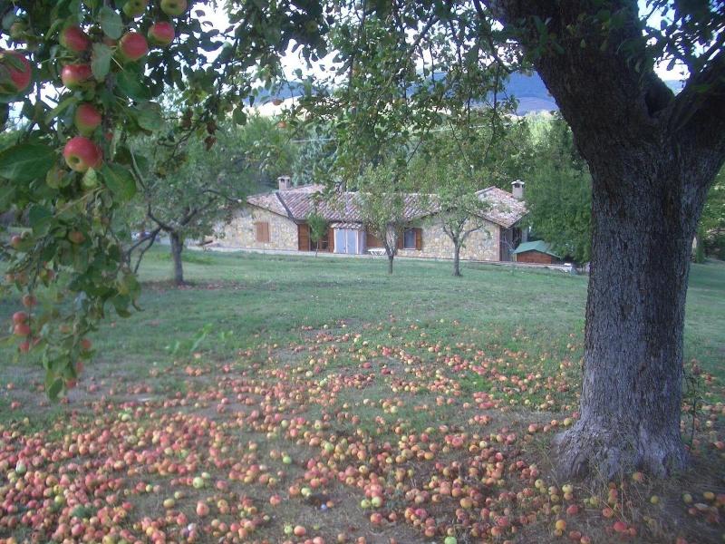 La Collina dei Ciliegi — main photo