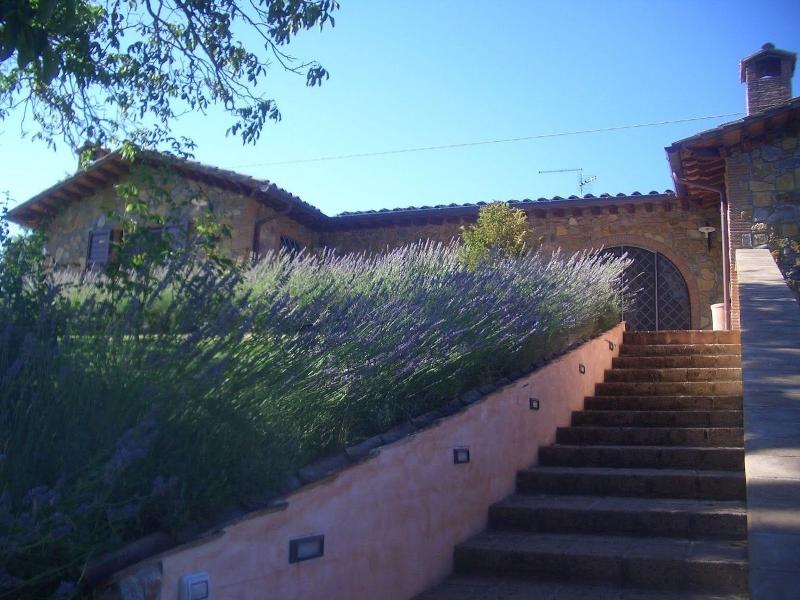 La Collina dei Ciliegi — photo 4