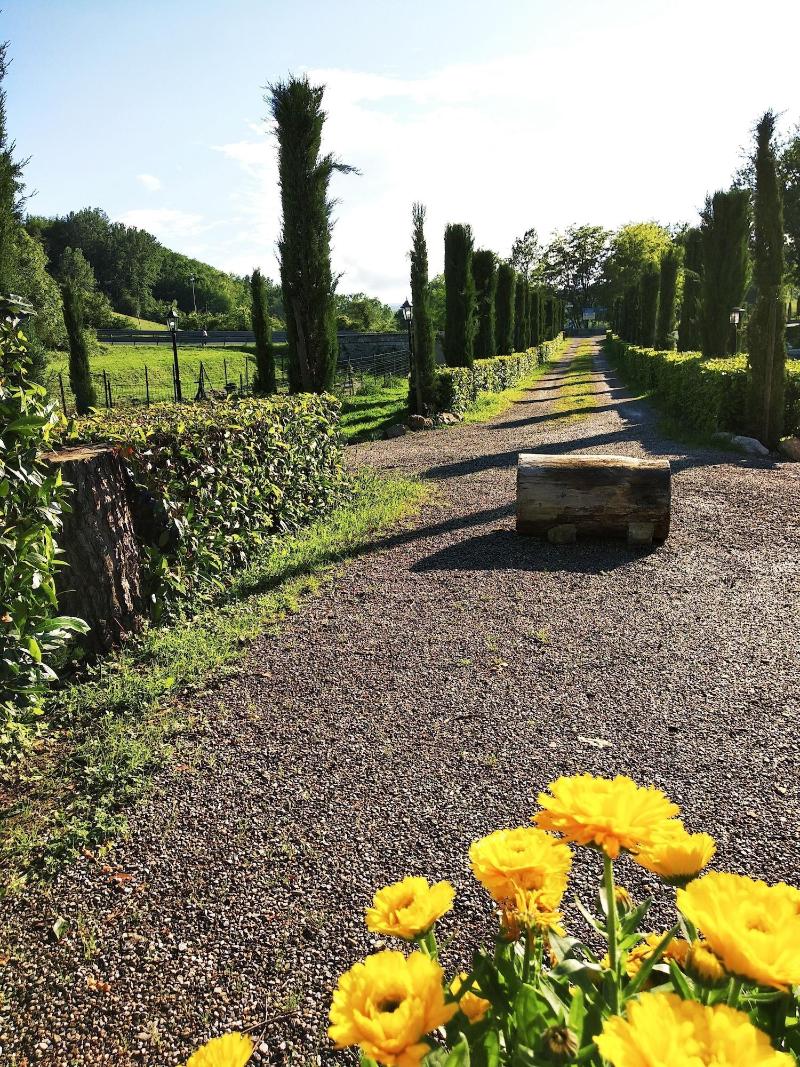 Mulino di Quercegrossa image
