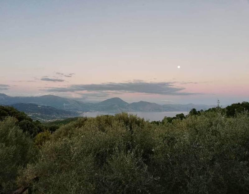 Pie' d'Ulivo — photo 3