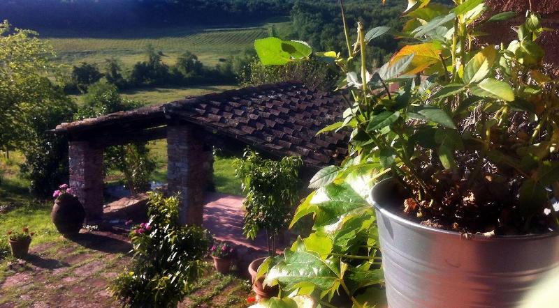 Podere Terreno alla Via della Volpaia image