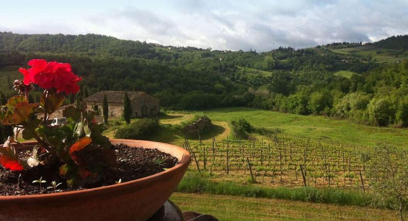 Podere Terreno alla Via della Volpaia image