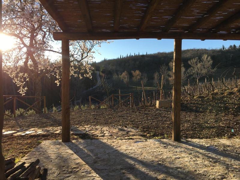 Podere Terreno alla Via della Volpaia image