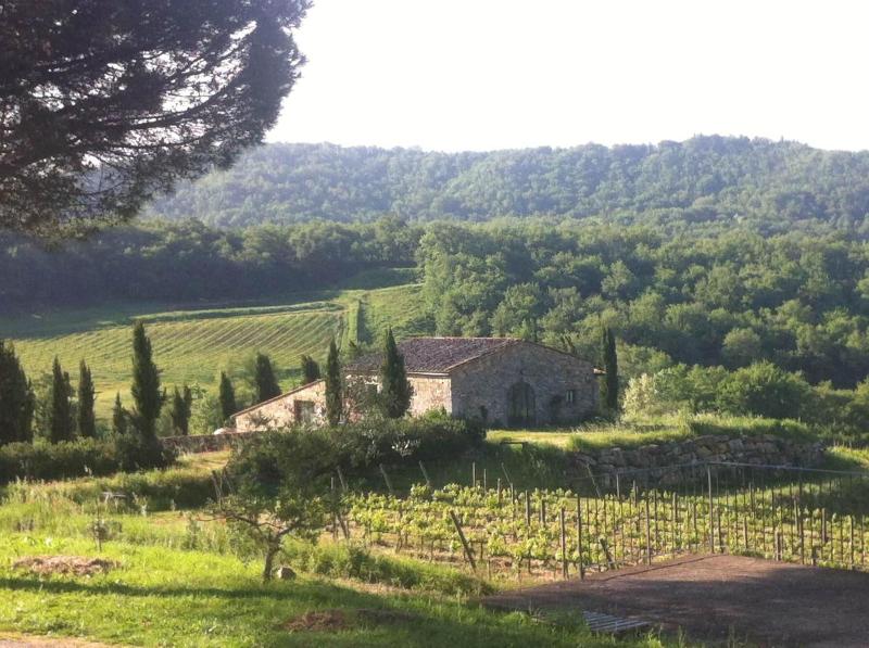 Podere Terreno alla Via della Volpaia image
