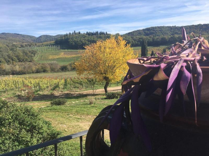 Podere Terreno alla Via della Volpaia image