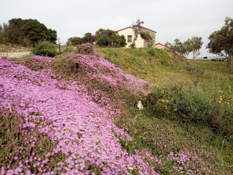 Tenuta Petra Bianca image