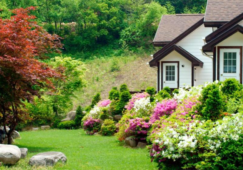 Huega Pension — main photo