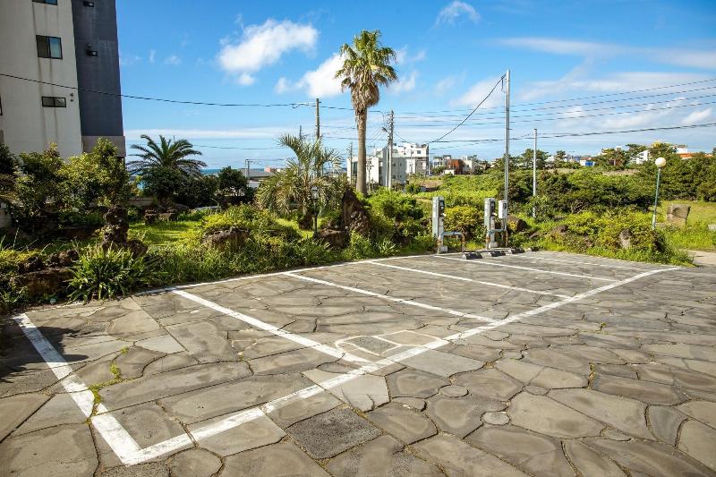 Jeju Badagurigi image